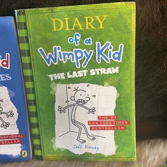Diary of a Wimpy Kid bundle of 3 (4610) - Picture 4 of 5